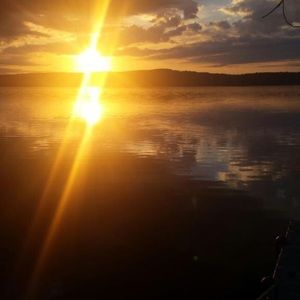 Meet your Posher, Rosie